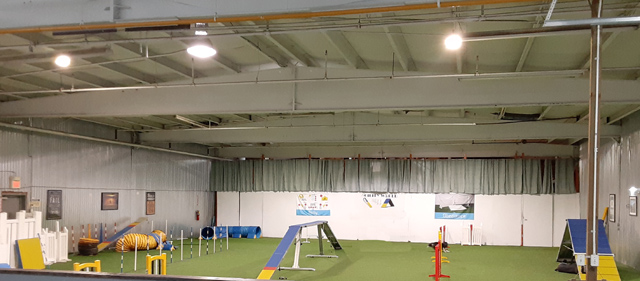 Agility World Training Field