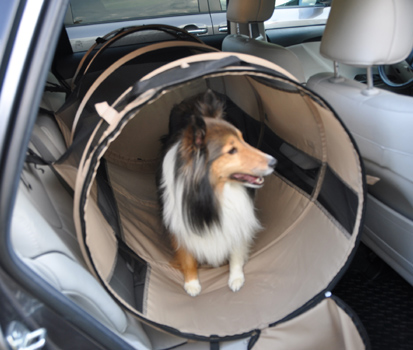 Cool runners dog crates sales