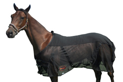 Vet Therapy Horse Rugs
