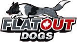 Flatout Dogs